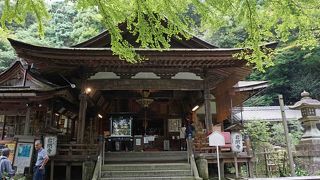 芭蕉が”古池”の句を詠んだ池があります。