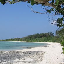 まるで現実を忘れさせてくれる綺麗さです