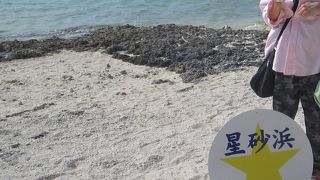 浜で星砂を売ってますよ