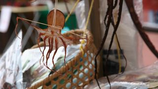 人馴れしているカニ売りおばちゃん