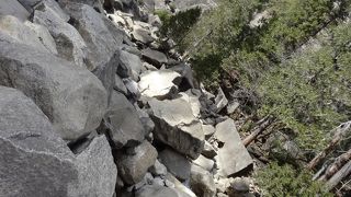 スケールが大きい