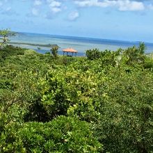 真ん中に見えるのは西大岳展望台です。