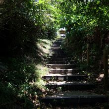 大岳登山路、登り方向。