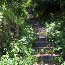 大岳登山路、下り方向。