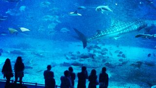 五度目ですが飽きません