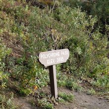 ポリクロームパス　