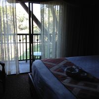 サバンナビューにするべきです！