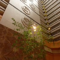 レストランフロアーから上は屋根まで吹き抜けになっています