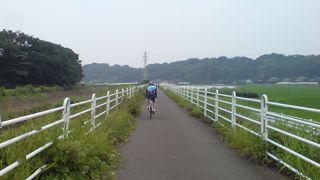 田園風景を楽しみながらサイクリング