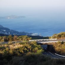 相模湾が見えます