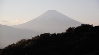 富士山や相模湾を見ることができます