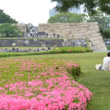 サツキと天守台跡