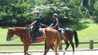 ＮＹのオアシス！