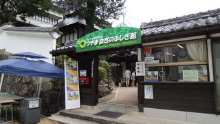 博物館創設者本人の内臓標本がある