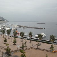 すぐ前に海が見え、散策するのに良さそうです。