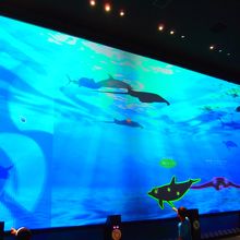 エキシビジョンゾーン