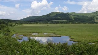 日本の南限にある高層湿原