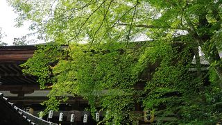 紫式部で有名ですが、国宝“多宝塔”もあります。