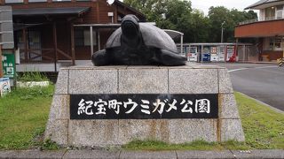 ウミガメと逢えるよ