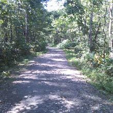 途中のダートはこんな感じです