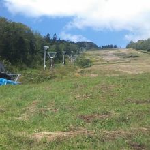 夏のゲレンデの様子