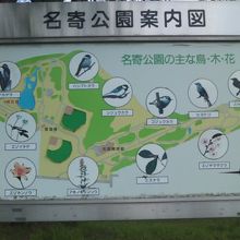 自然探訪にも良い公園です