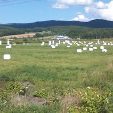 北海道らしい風景も存分に楽しめるエリアです