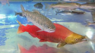 展示館と体験館でゆっくりと観察できます♪