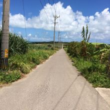 集落側から見たシュガーロード。