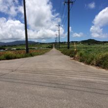 リゾート側から見たシュガーロード。