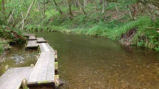 「名水百選」に選ばれたことを記念して整備された公園です♪