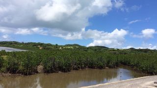 ちょっと入口がわかり辛いかも･･･。