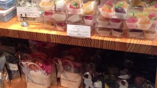 見てるだけでも楽しい