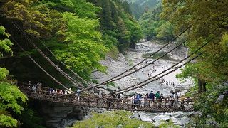 スリル満点の橋