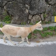 ハートの形の島