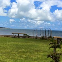 海人公園にて。なんでしょうこれは？