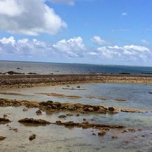 海人公園に面する海。