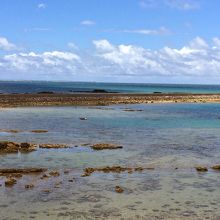 海人公園に面する海。