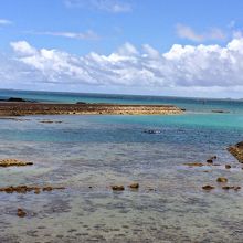 海人公園に面する海。