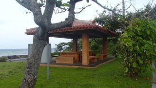 朝の散歩に行きました