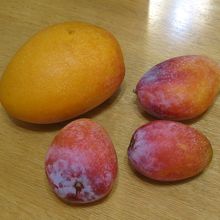 県産マンゴーは最高です