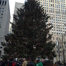 クリスマスツリー