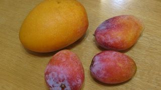 フルーツがおすすめ