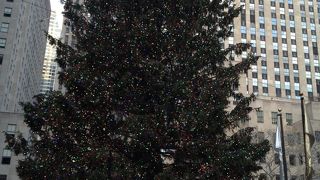 クリスマス時期見に行く価値あり