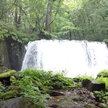 遠くから見えてくるのでわくわく