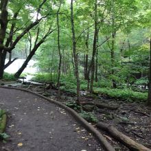 子ノ口方面・上流に向かって遊歩道を歩いていくと見えてくる