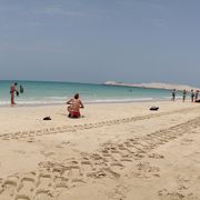 アラビア海はす　ごくきれい