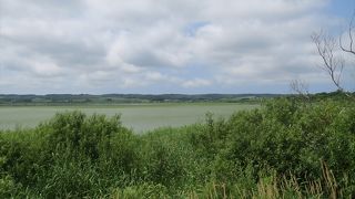 近くにJRの駅やオートキャンプ場もあり、宿泊するには便利ですが、周辺にお店らしいものが殆どないです。