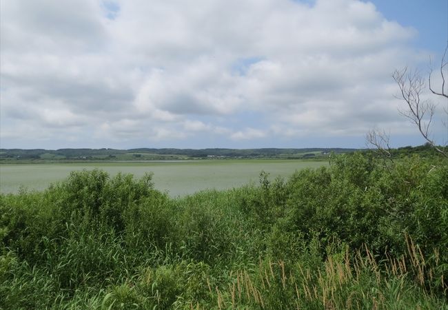 近くにJRの駅やオートキャンプ場もあり、宿泊するには便利ですが、周辺にお店らしいものが殆どないです。