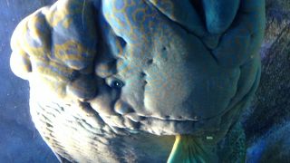 楽しかったです